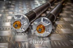 Evo Andreani Cartridge Kit For Harley Davidson Softail Low Rider St 2013 2022