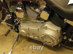 HARLEY CHROME SPIKE ENGINE COVER BOLT KIT big twin cam evo softail dresser fxr
