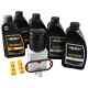Harley Davidson Engine Service Kit Maintenance Evo Big Twin Dyna, Softail 89- 99