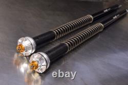 Misano Evo Andreani Cartridge Kit For Harley Davidson Road Glide Cvo 2024