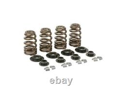 VooDoo 74820KH1 Lunati Valve Train Beehive Spring Kit up to 0.603 Lift for Evo