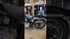 Which Are You Taking Evo Vs Twin Cam Harley Springer Harleydavidson Motorcycle Springer